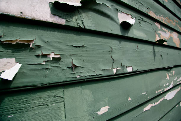 Best Residential Junk Removal  in Cynthiana, KY
