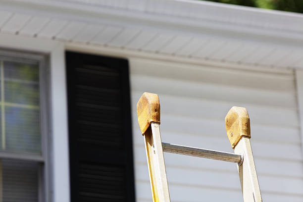 Shed Removal in Cynthiana, KY